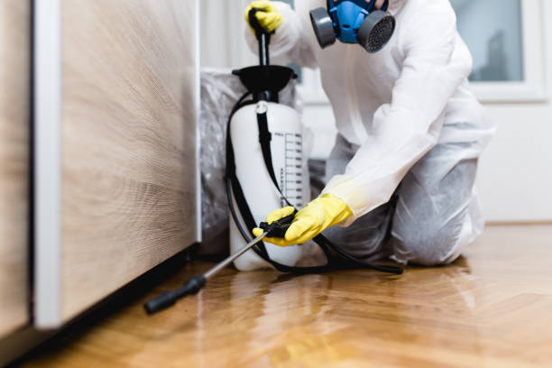 Best Wasp Removal Services  in Floresville, TX
