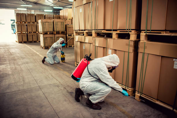 Best Commercial Pest Control Services  in Floresville, TX