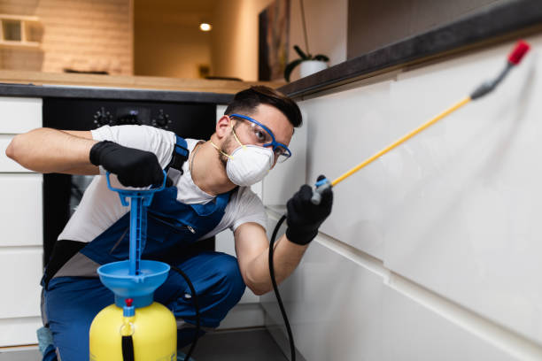 Best Affordable Pest Control Services  in Floresville, TX