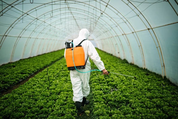 Best Pest Prevention Services  in Floresville, TX