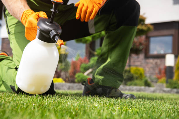 Best Pest Prevention Services  in Floresville, TX