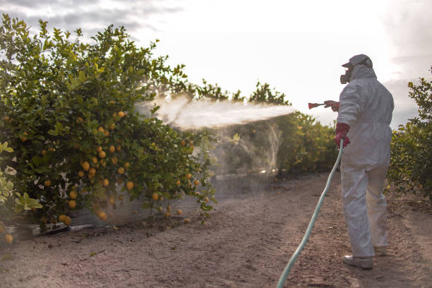 Professional Pest Control in Floresville, TX
