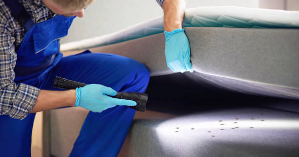 Best Wasp Removal Services  in Floresville, TX
