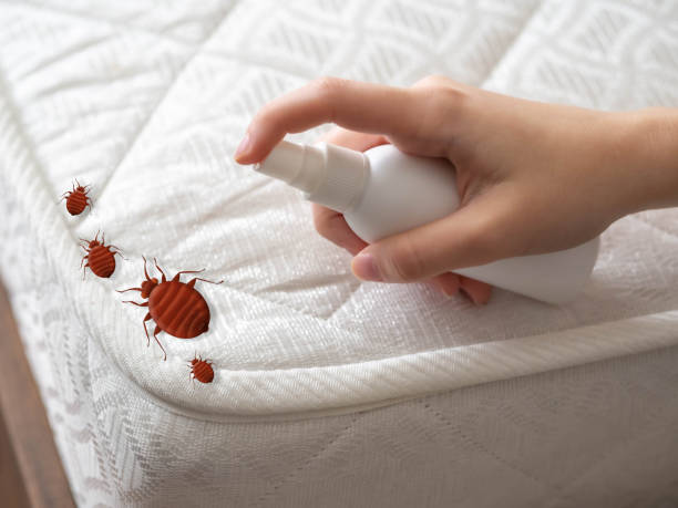Best Emergency Pest Control  in Floresville, TX